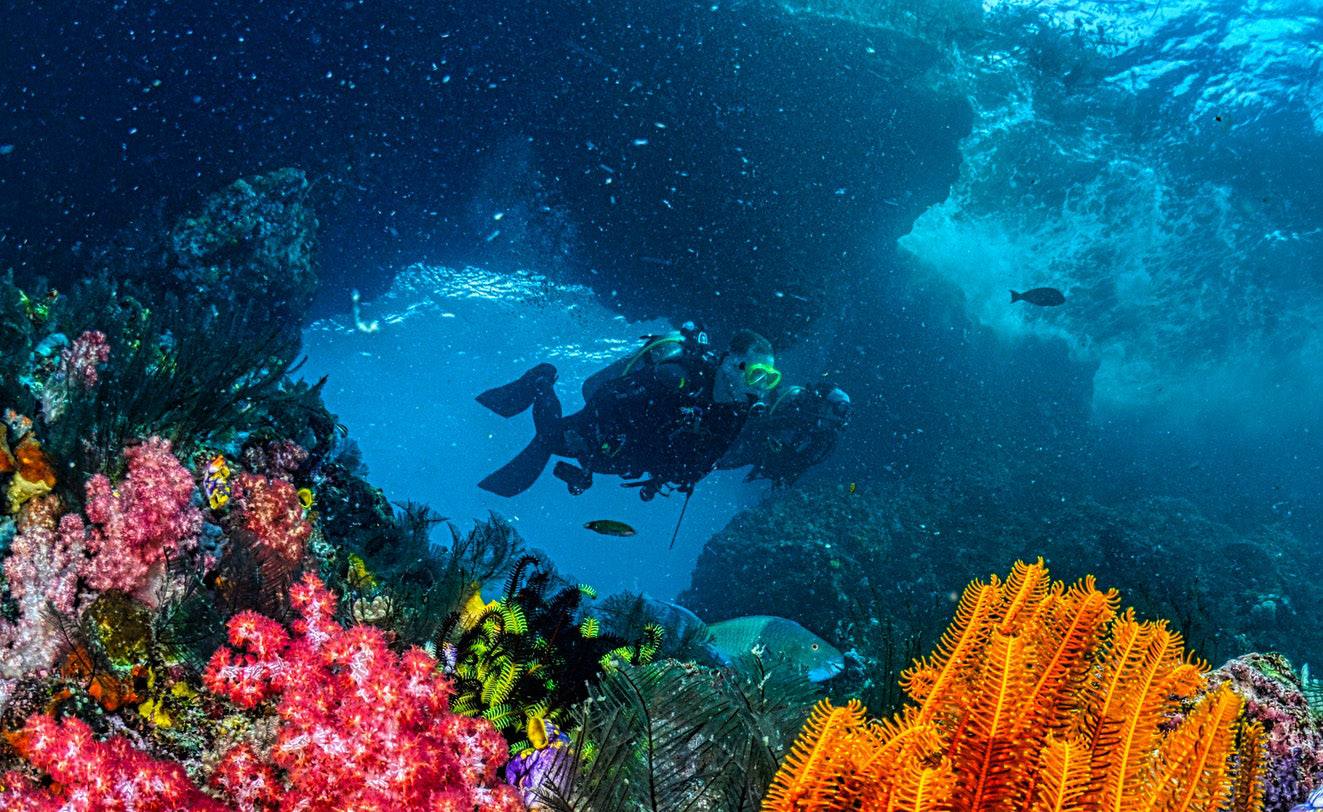 Indo pacific